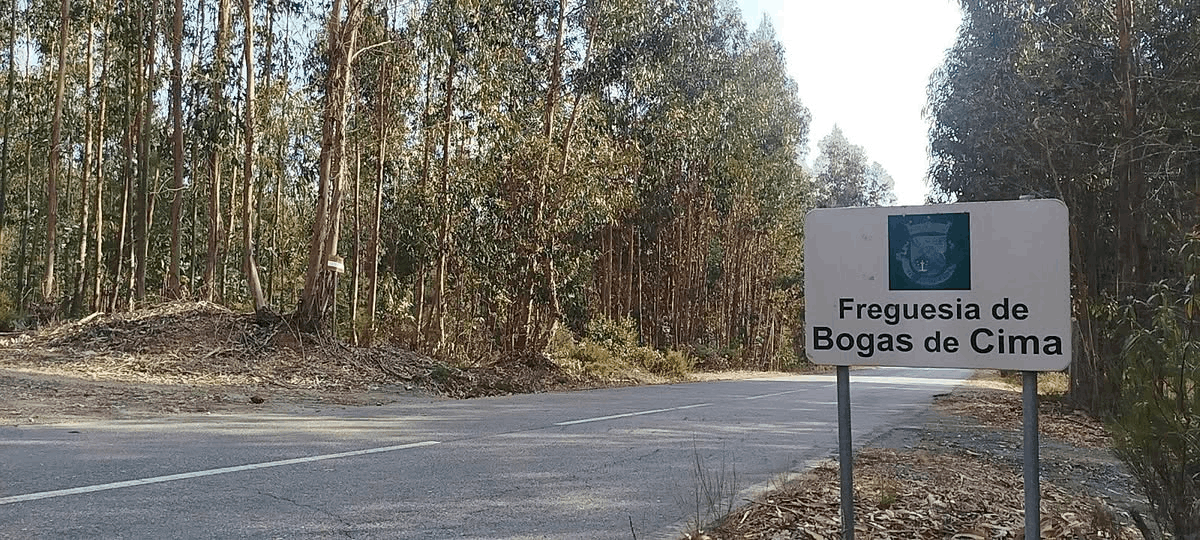 Junta de Freguesia de Boas de Cima